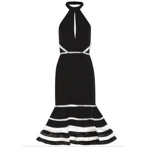 Alexis Dorian Black & White Midi Dress NWT